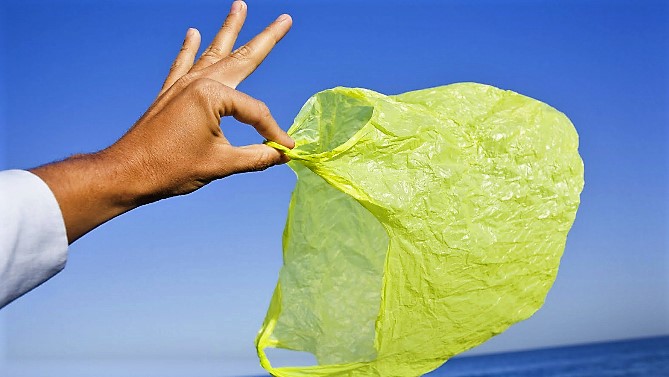 Биопластики из семян конопли – текущий рынок и будущее post thumbnail image